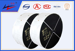 9博体育-聚酯运送带