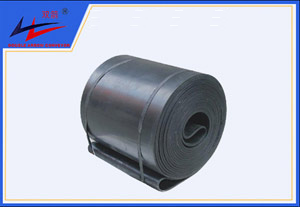 9博体育-环形运送带